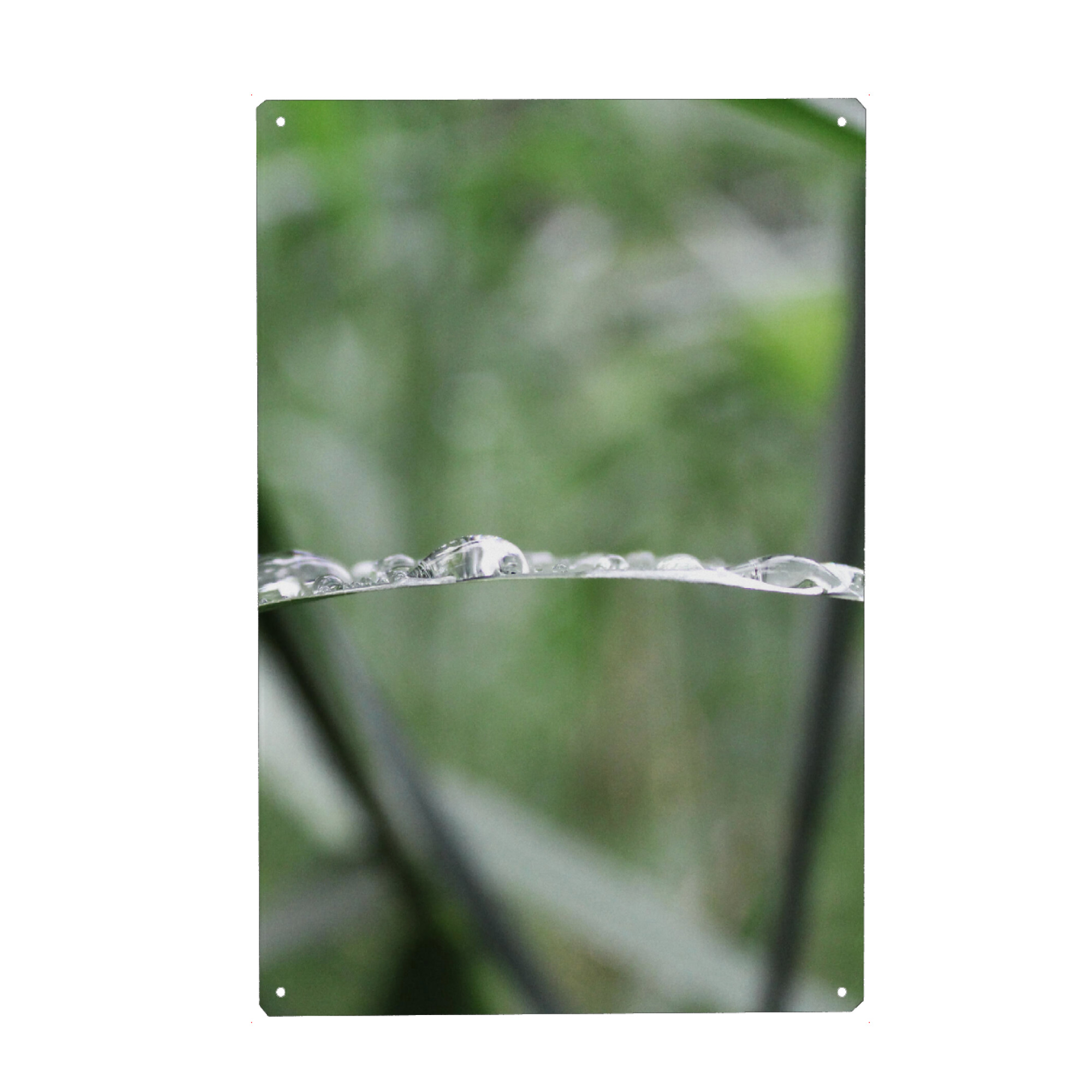 Holzbild "The waterdrop" artboxONE - Natur - Nature,Tropfen,Wasser,Water,Drop,Closeup,Nahaufnahme,Green,Grün