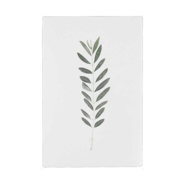 Metall Poster "Olive twig" artboxONE - Natur,Floral