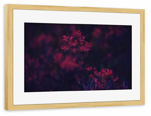 Poster mit Rahmen kiefer "Herbstblätter" artboxONE - Natur,Floral