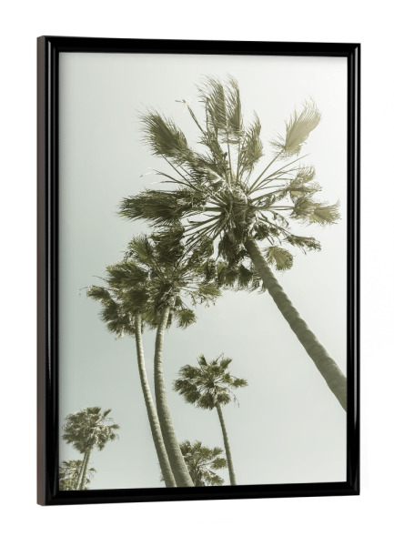 Poster mit schwarzem Rahmen "Vintage Palmenidylle mit Sonne" artboxONE - Natur,Reise / Strand und Meer