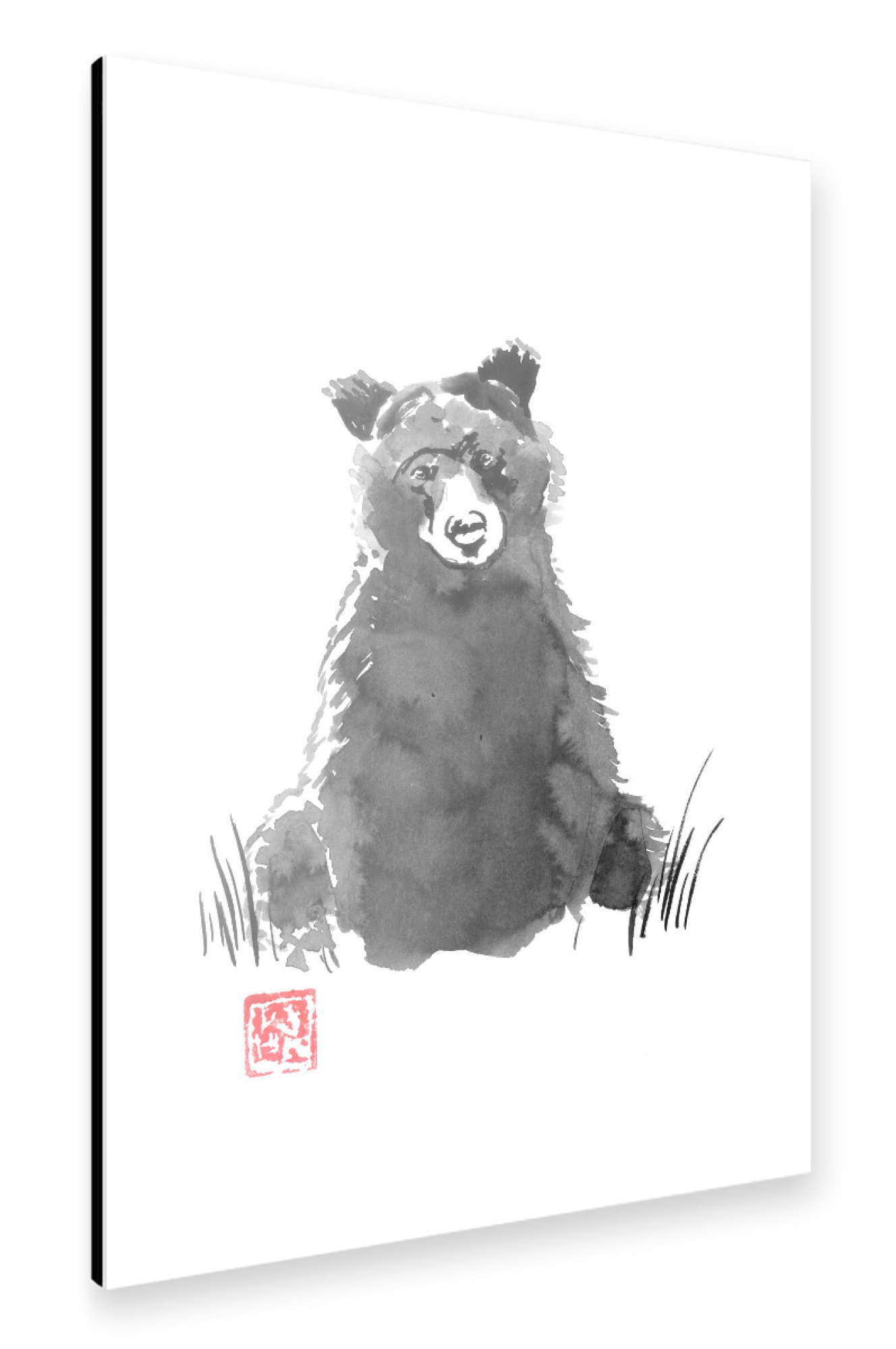 Alu-Dibond "Young bear" 75x50 cm artboxONE