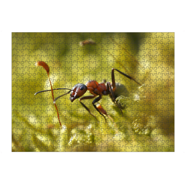 artboxONE Puzzle "Waldameise" artboxONE - Natur,Tiere