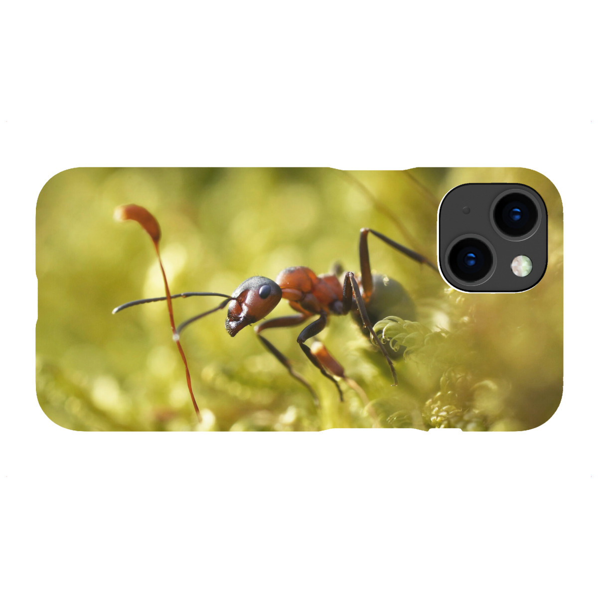 iPhone "Waldameise" Premium-Case Handyhülle artboxONE