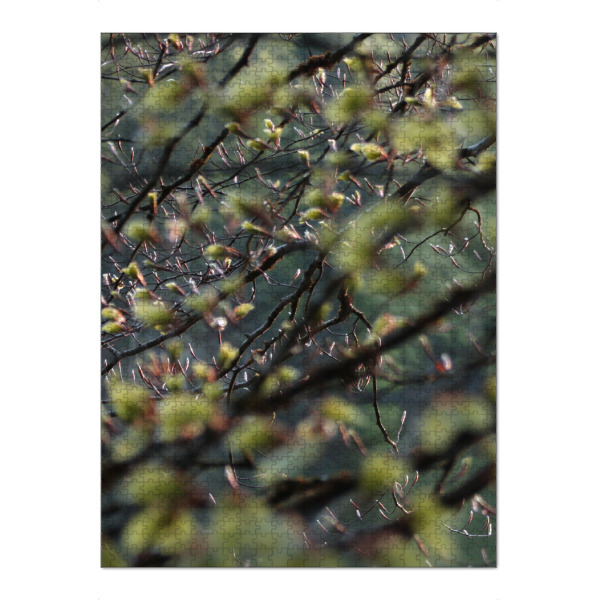 Puzzle Ravensburger "Baumblätter" artboxONE - Natur - Nature,Natur,Leaves,Wald,Woods,Blätter,Baum,Tree,Green,Grün,Closeup,Nahaufnahme - Bild nature
