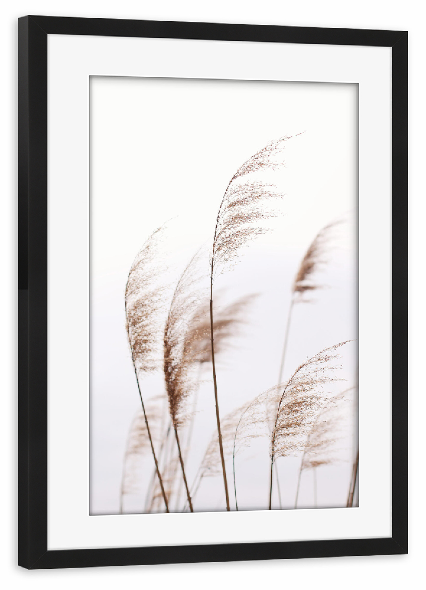Poster mit Rahmen schwarz "Modern Minimalist Plant" artboxONE - Natur,Floral
