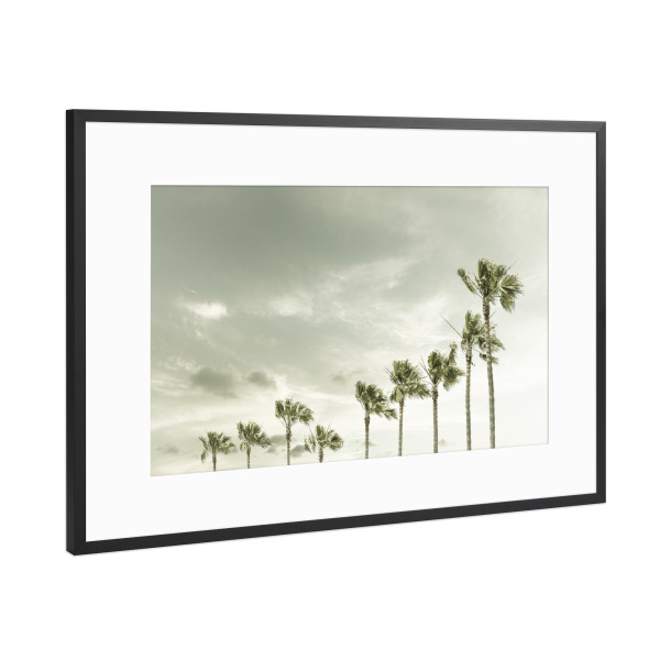 Poster mit Rahmen Schwarz (Metallic) "Abendlicher Vintage Palmenhimmel" artboxONE - Natur,Reise / Strand und Meer