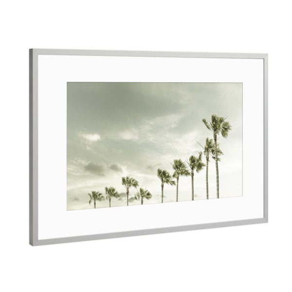 Poster mit Rahmen Silber "Abendlicher Vintage Palmenhimmel" artboxONE - Natur,Reise / Strand und Meer