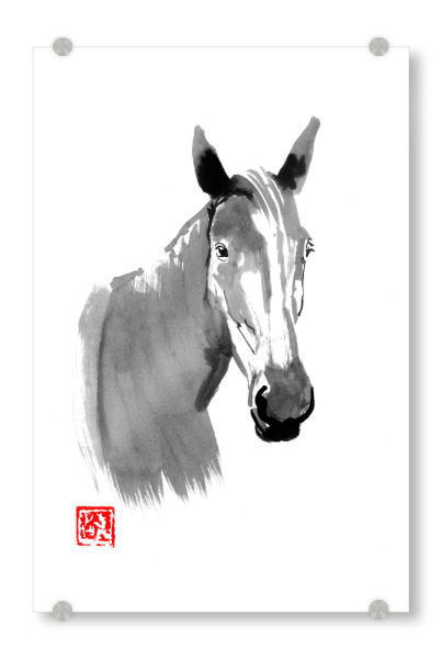 Acrylglasbild "Horse Portrait" artboxONE - Tiere - Horse head,Sumie,Japan,Horse,Pferd,Tier,Animal,Portrait,Schwarzweiß,Blackandwhite