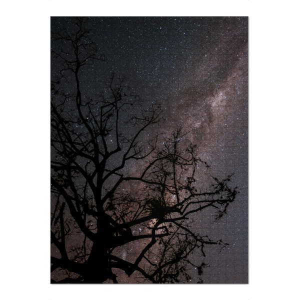 Puzzle Ravensburger "NIGHT SKY" artboxONE - Natur
