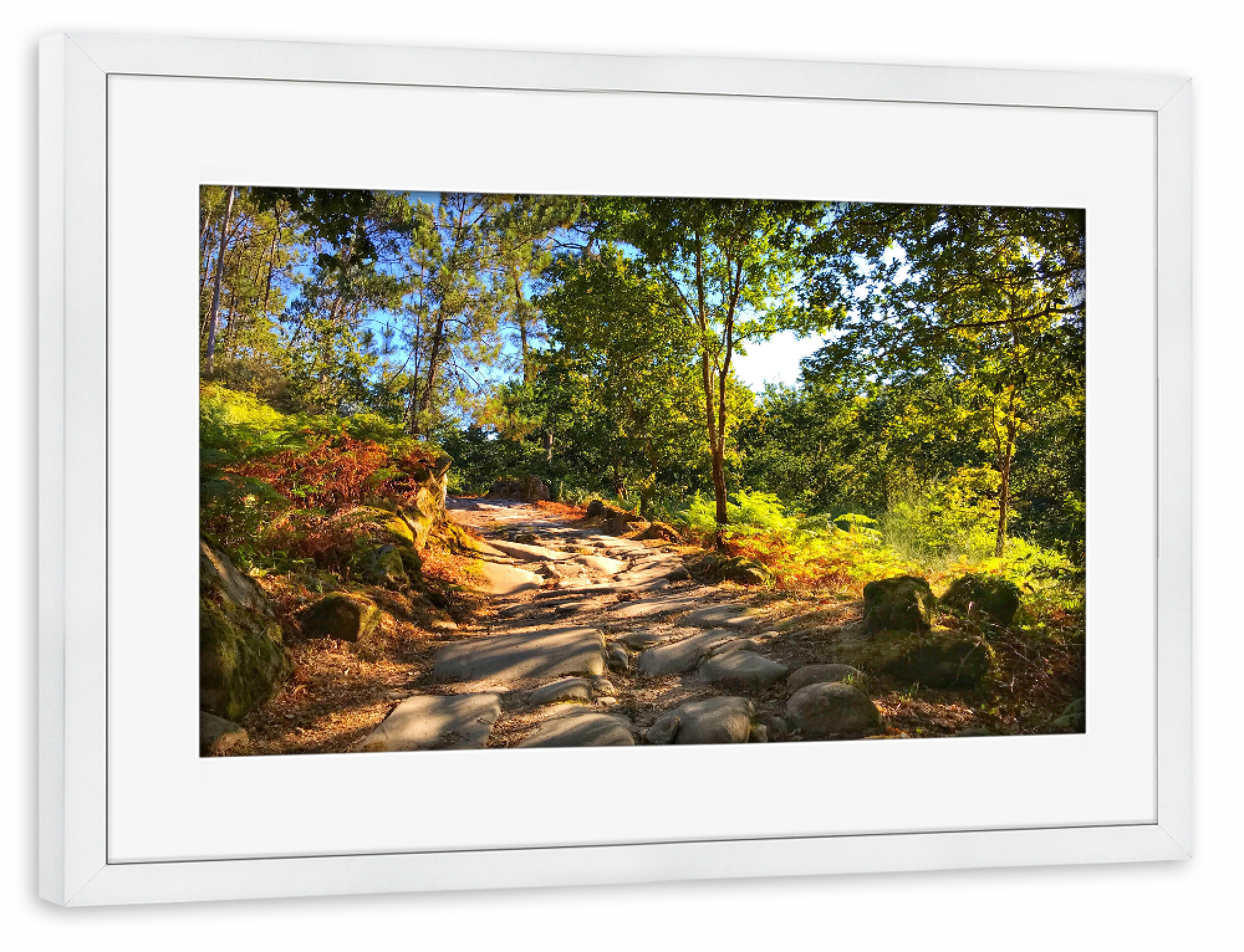 Poster mit Rahmen weiß "Pilgerweg" artboxONE - Natur,Reise / Länder