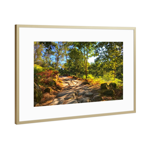 Poster mit Rahmen Gold "Pilgerweg" artboxONE - Natur,Reise / Länder