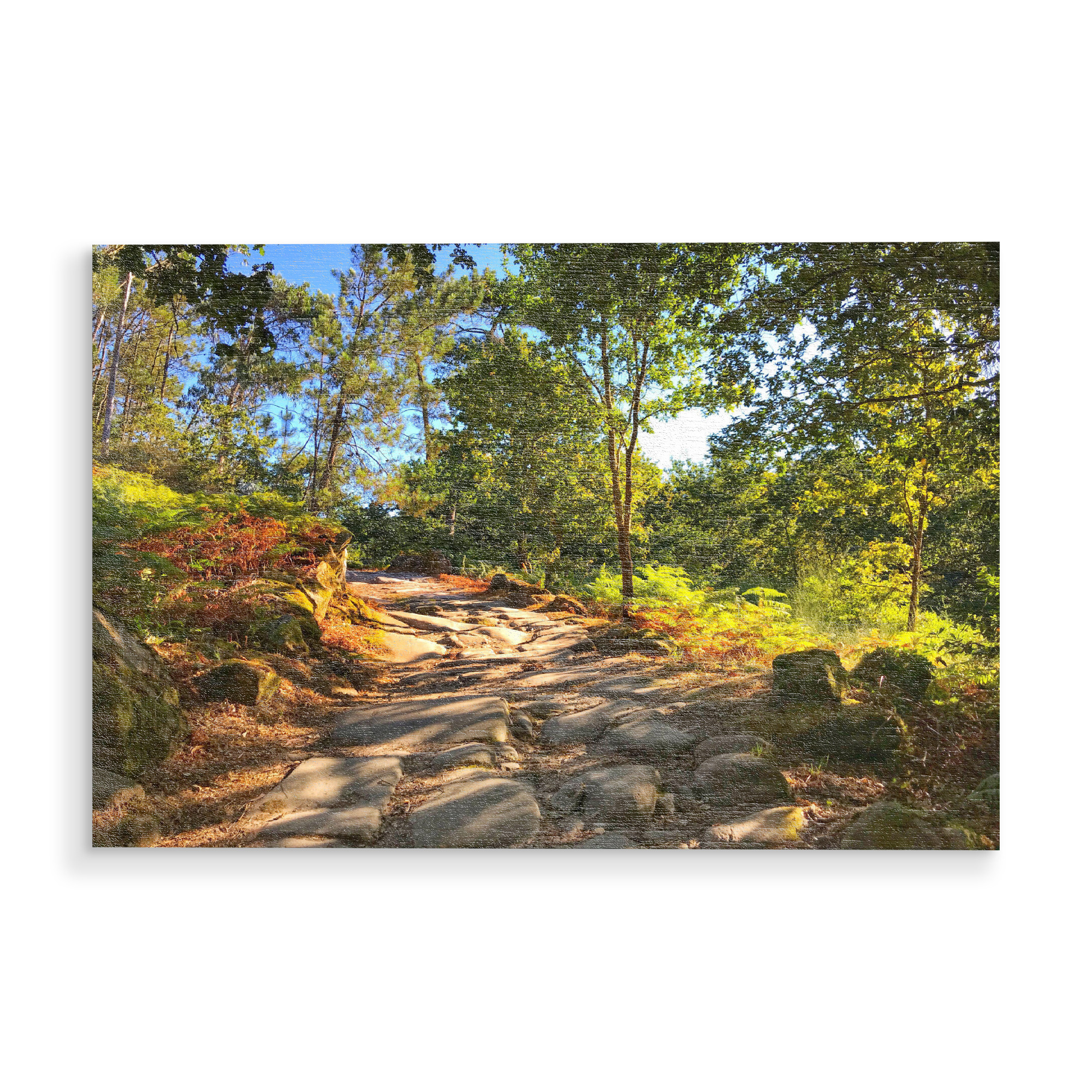 Holzbild "Pilgerweg" artboxONE - Natur,Reise / Länder - Pilgerweg,Jakobsweg,Wanderweg,Reise,Travel,Nature,Natur,Wald,Forest,Weg,Trees,Bäume,Way
