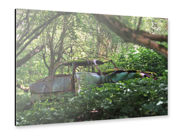Alu-Dibond "Old Car in the Woods" 30x20 cm artboxONE