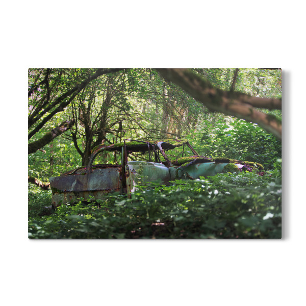 Galerie-Print "Old Car in the Woods" 30x20 cm artboxONE