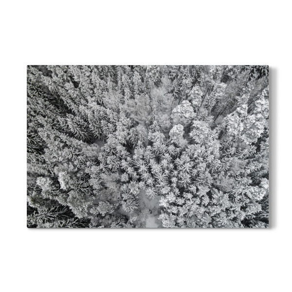Galerie-Print "Winter tale" 30x20 cm artboxONE