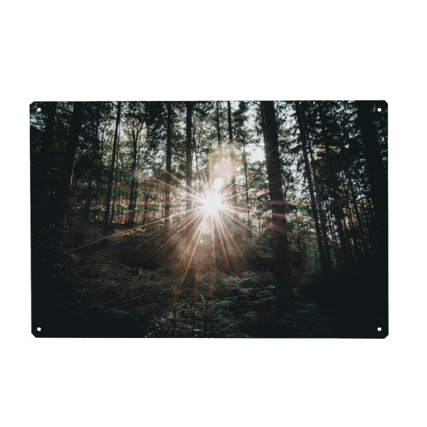 Metall Poster "Caprice" artboxONE - Natur,Reise