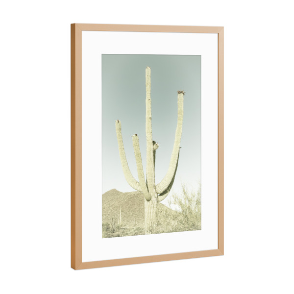 Poster mit Rahmen Kupfer "Riesen-Saguaro | Vintage" artboxONE - Natur,Reise / Länder