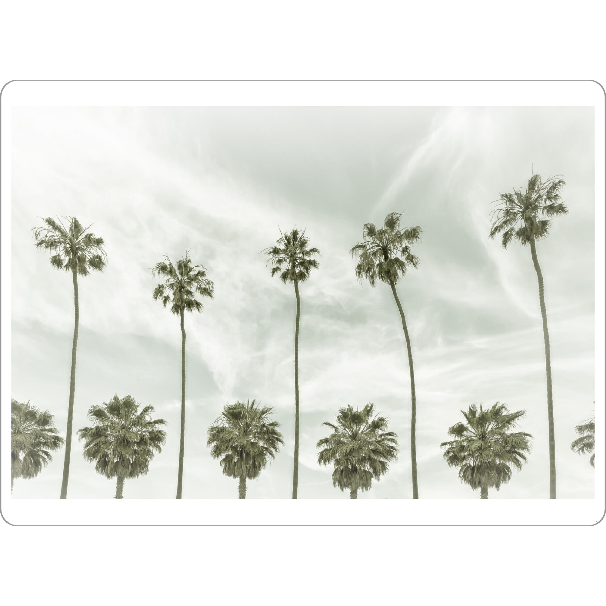 Tischset "Vintage Palmenidylle" artboxONE - Natur