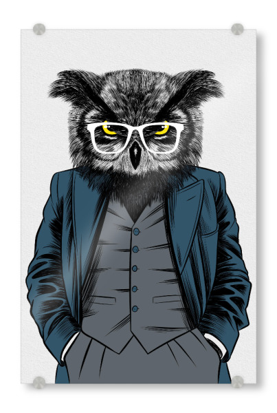 Acrylglasbild "Teacher Owl" artboxONE - Tiere,Menschen,Lustig