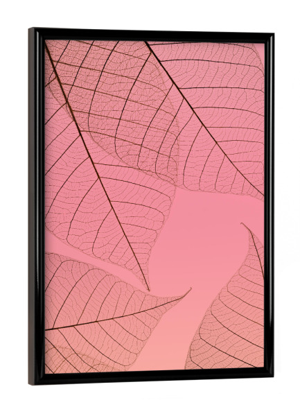Poster mit schwarzem Rahmen "Pink Transparent Leaf" artboxONE - Natur,Abstrakt