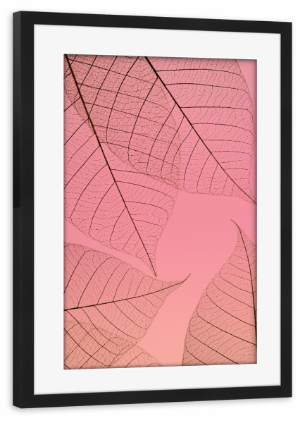 Poster mit Rahmen schwarz "Pink Transparent Leaf" artboxONE - Natur,Abstrakt