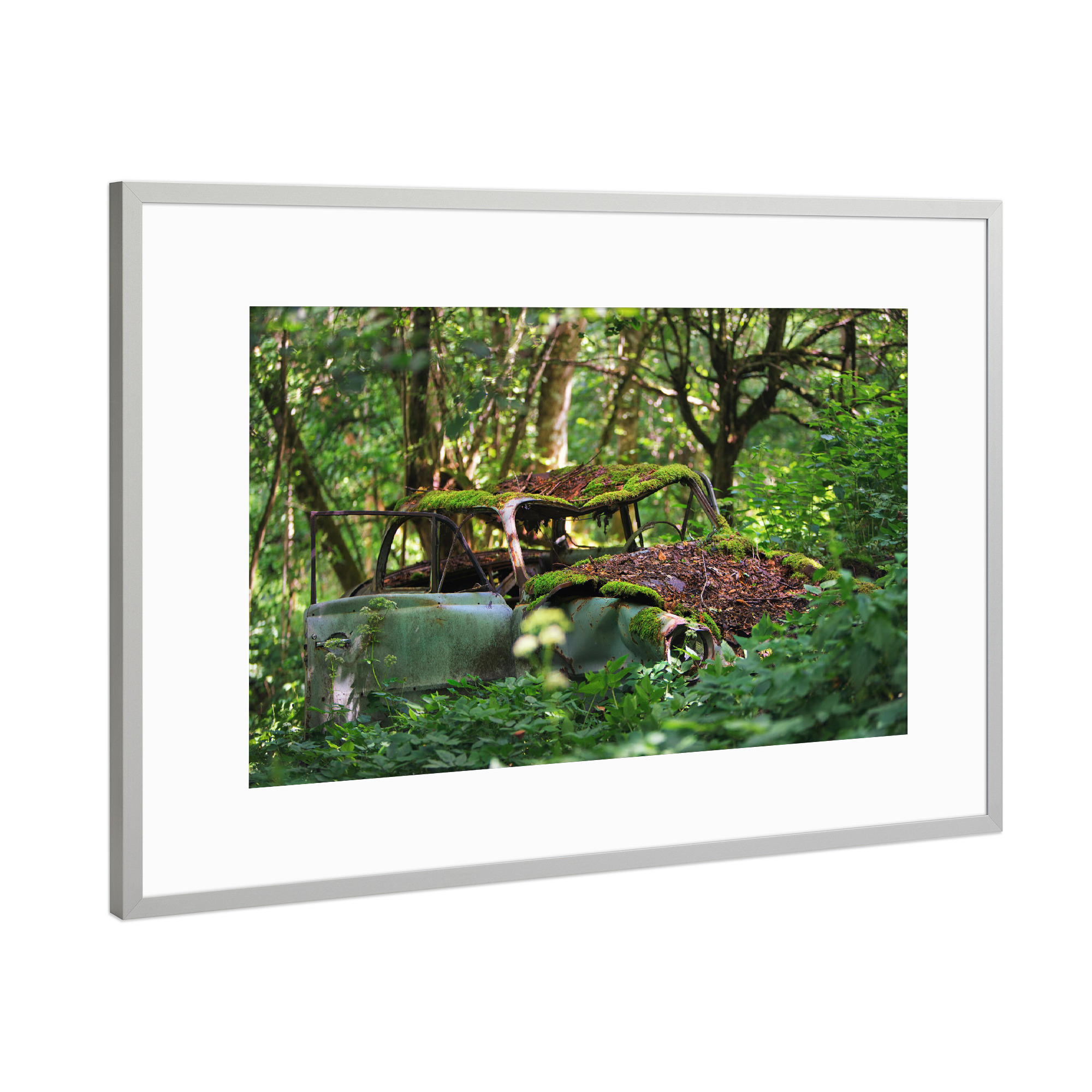 Poster mit Rahmen Silber "Deep in the Woods" artboxONE - Natur,Automobile