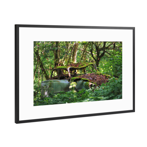 Poster mit Rahmen Schwarz (Metallic) "Deep in the Woods" artboxONE - Natur,Automobile