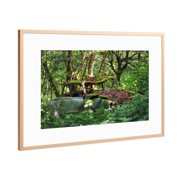 Poster mit Rahmen Kupfer "Deep in the Woods" artboxONE - Natur,Automobile