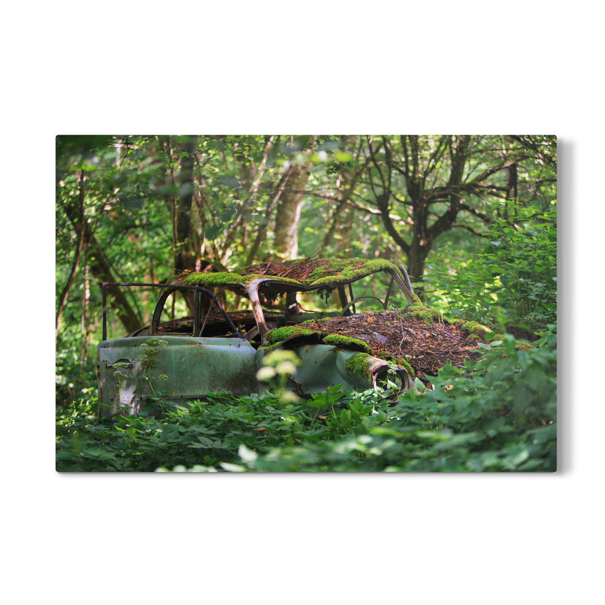 Galerie-Print "Deep in the Woods" 75x50 cm artboxONE
