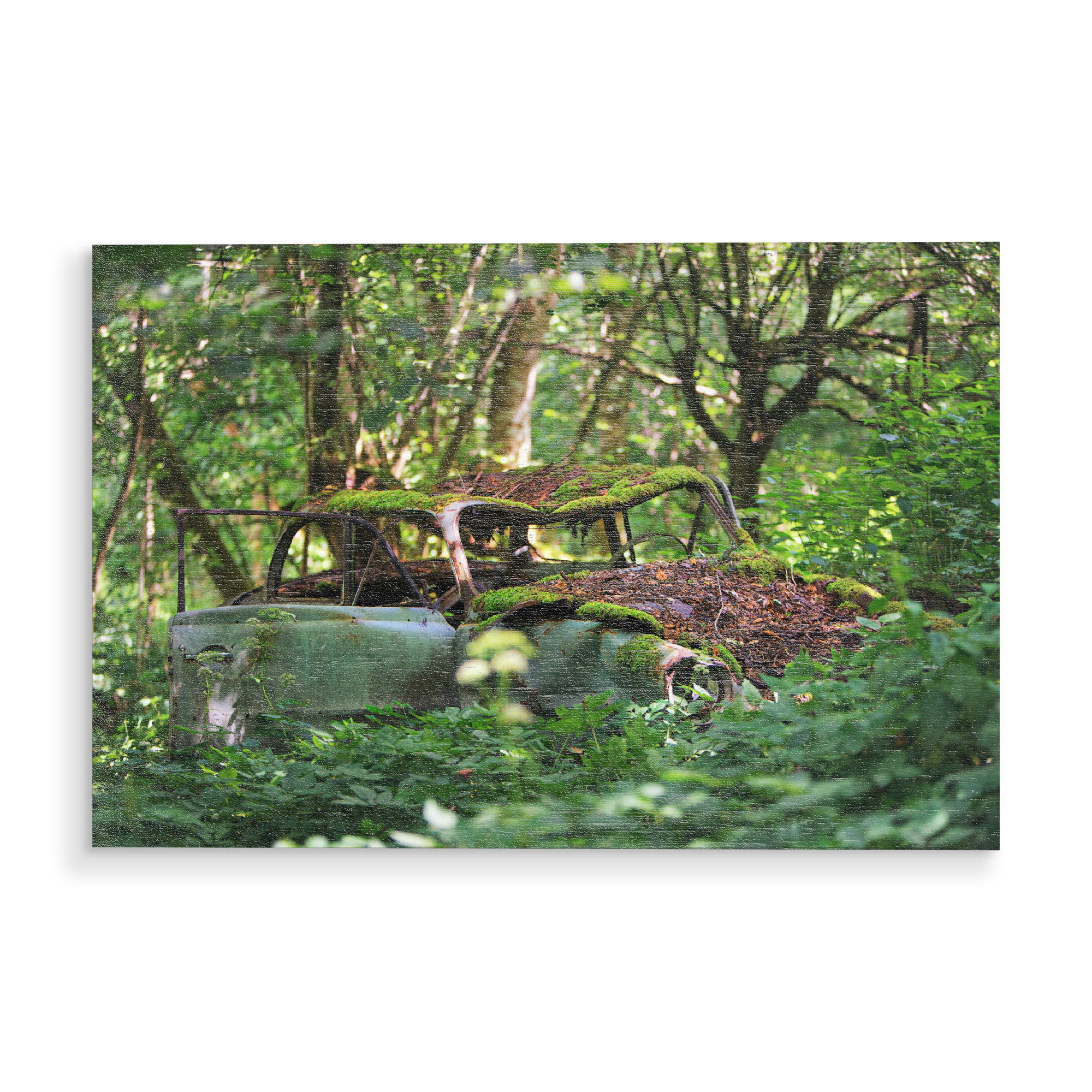 Holzbild "Deep in the Woods" artboxONE - Natur,Automobile