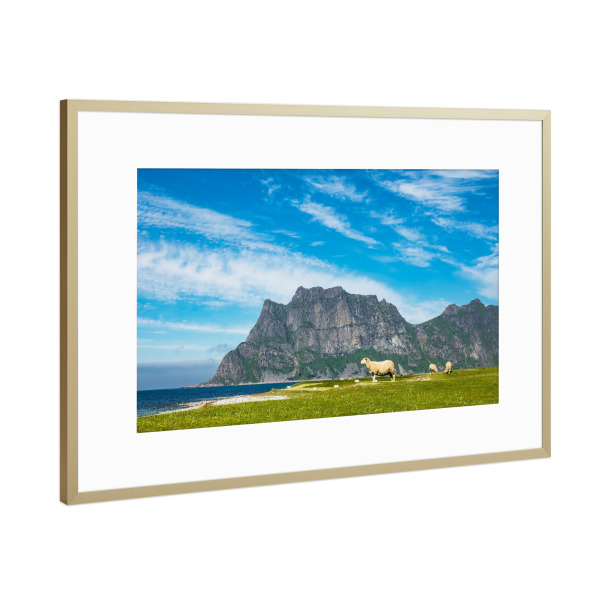 Poster mit Rahmen Gold "Utakleiv Beach auf den Lofoten" artboxONE - Natur,Tiere,Reise / Strand und Meer,Reise / Länder