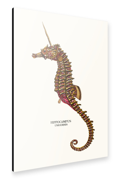 Alu-Dibond "SEAUNICORN VINTAGE" 30x20 cm artboxONE