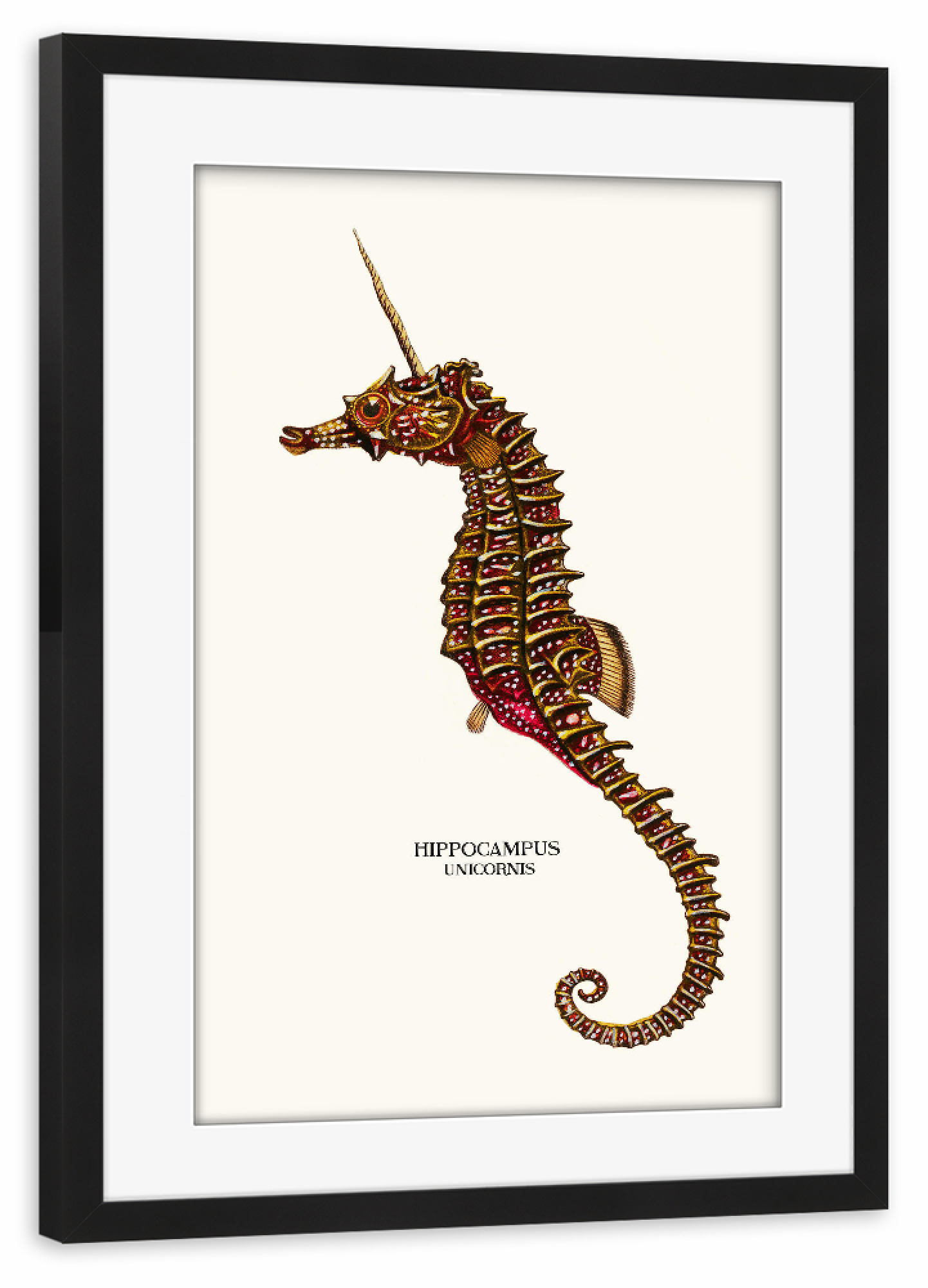 Poster mit Rahmen schwarz "SEAUNICORN VINTAGE" artboxONE - Tiere,Unterwasser,Fiktion