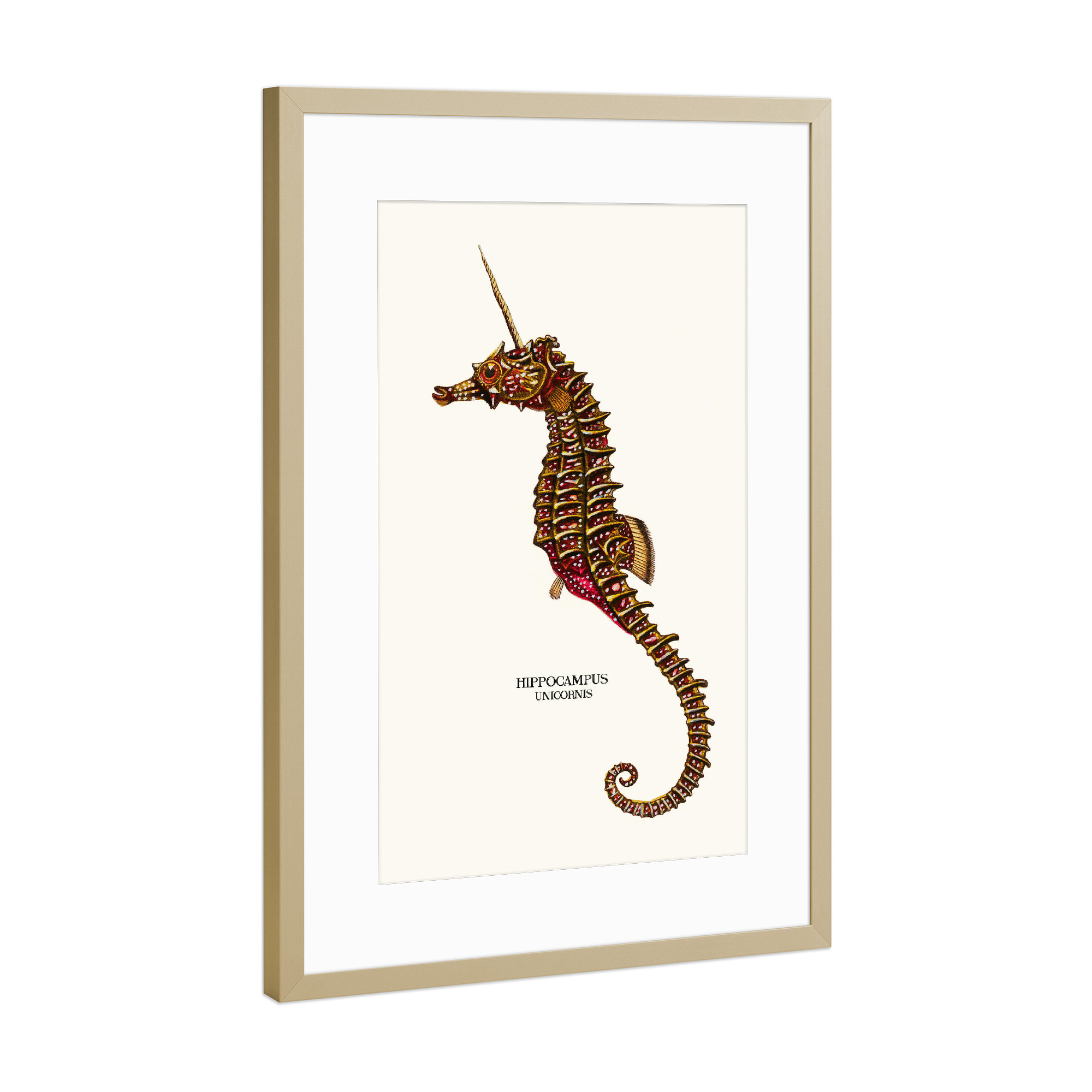 Poster mit Rahmen Gold "SEAUNICORN VINTAGE" artboxONE - Tiere,Unterwasser,Fiktion
