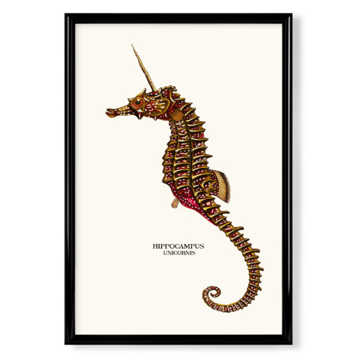 SEAUNICORN VINTAGE