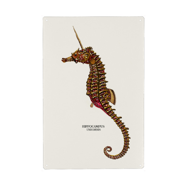 Holzbild "SEAUNICORN VINTAGE" artboxONE - Tiere,Unterwasser,Fiktion