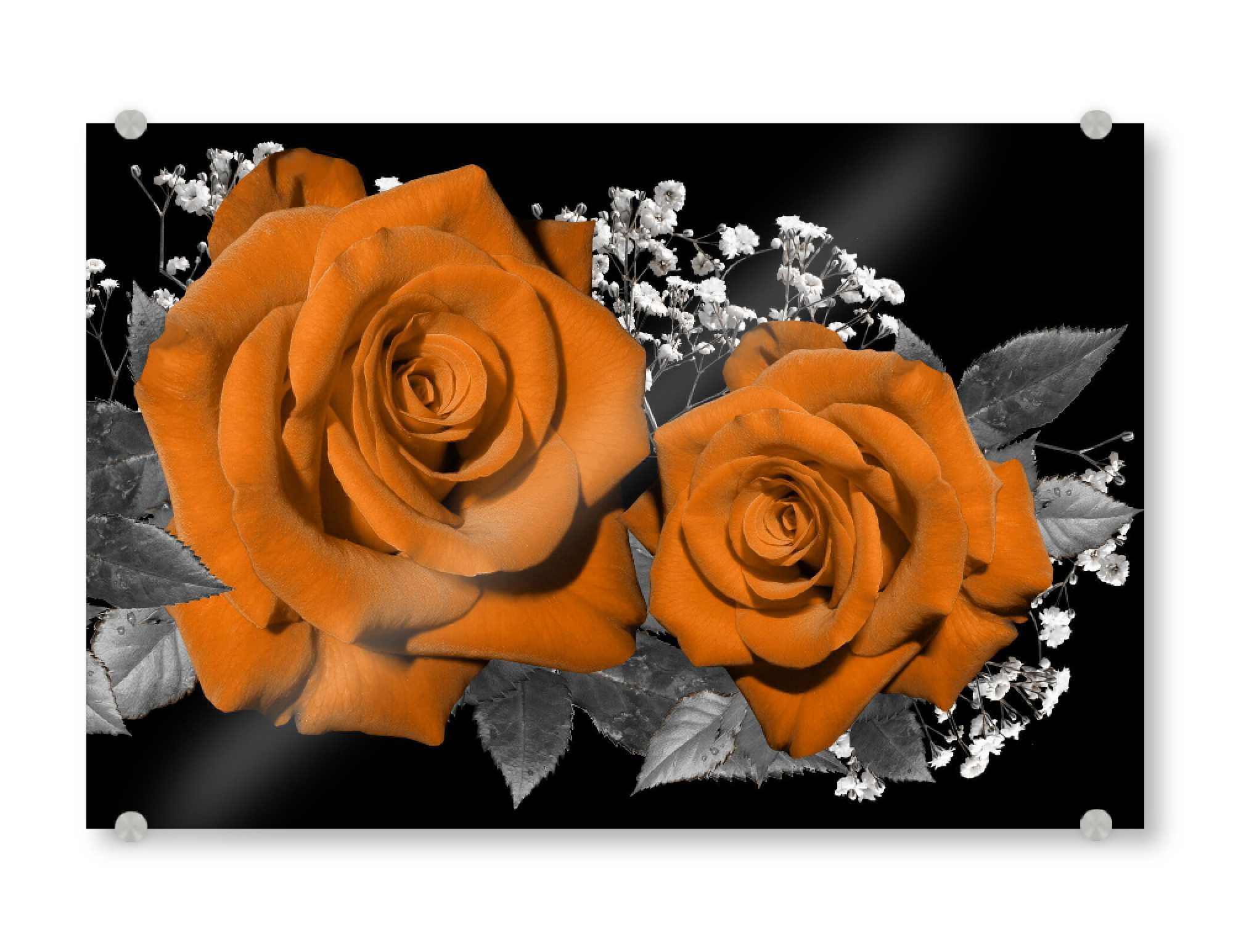 Acrylglasbild "Rosen Treue orange" artboxONE - Floral,Abstrakt,Liebe - Rose,Liebe,Treue,Blume,Floral,Flowers,Love