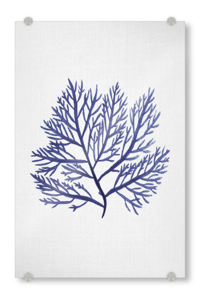 Acrylglasbild "Watercolor Coral" artboxONE - Natur,Abstrakt