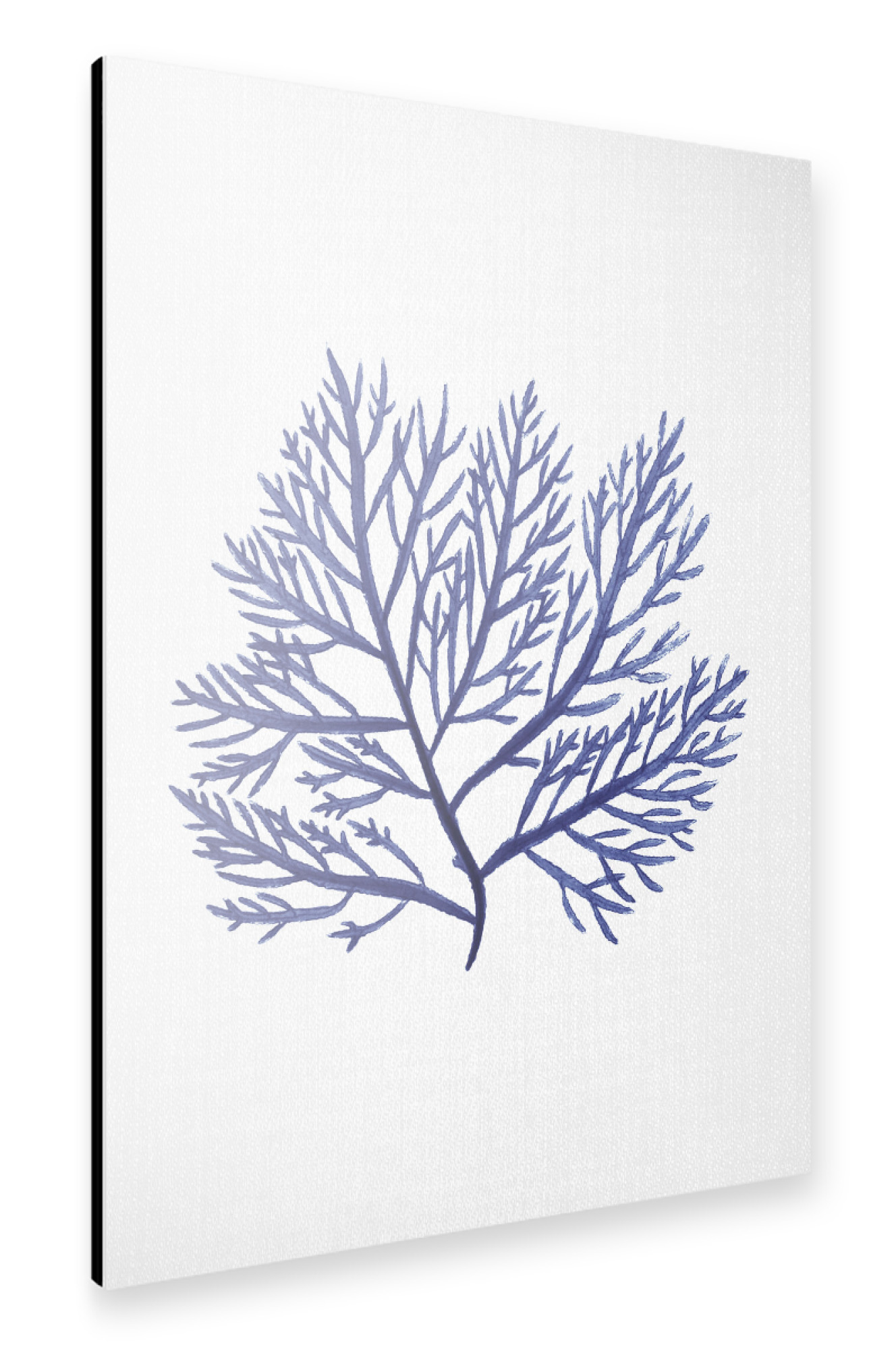 Alu-Dibond "Watercolor Coral" 75x50 cm artboxONE