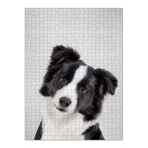 Puzzle Ravensburger "Border Collie - Colorful" artboxONE - Natur,Für Kinder,Tiere
