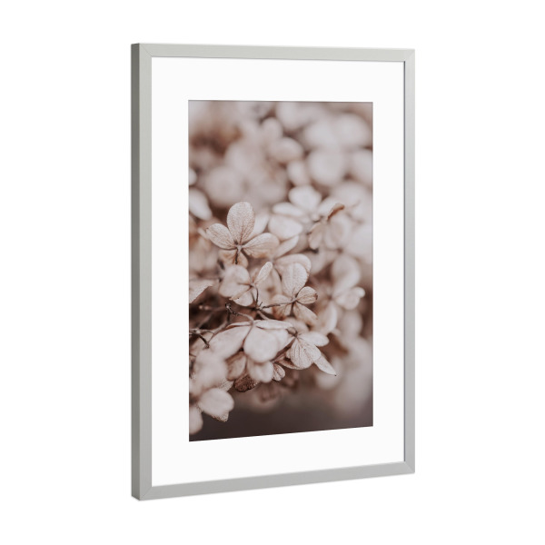 Poster mit Rahmen Silber "White Flower in Spring" artboxONE - Natur,Reise,Floral