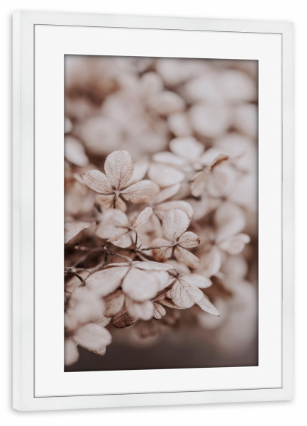 Poster mit Rahmen weiß "White Flower in Spring" artboxONE - Natur,Reise,Floral