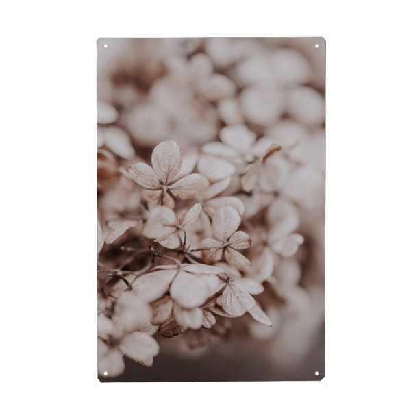 Holzbild "White Flower in Spring" artboxONE - Natur,Reise,Floral - Floral,Flower,Photography,Spring,Blumen,Nature,Natur,Closeup,Nahaufnahme,Pink,Boho