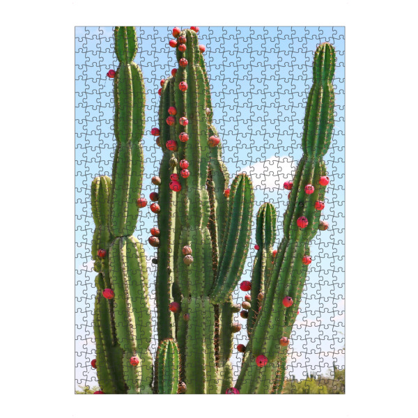 artboxONE Puzzle "Grüner Kaktus rote Früchte" artboxONE - Natur,Floral,Reise / Afrika