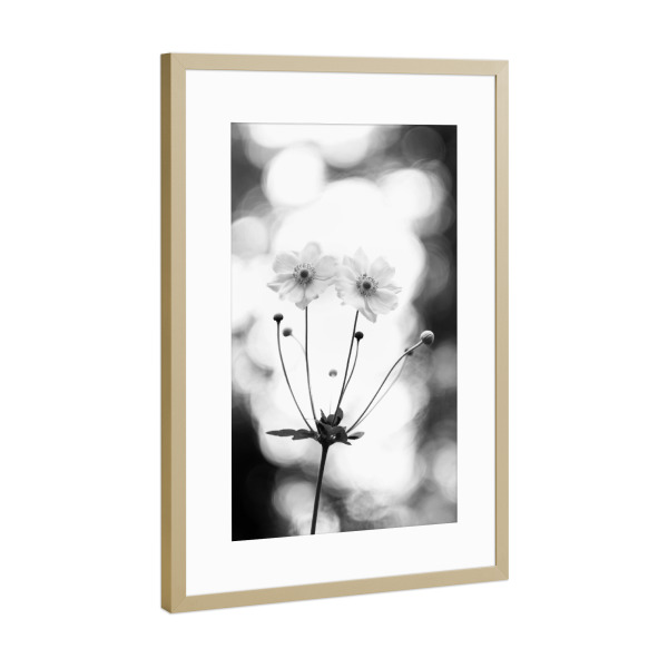 Poster mit Rahmen Gold "Two of us" artboxONE - Natur,Floral,Schwarzweiß