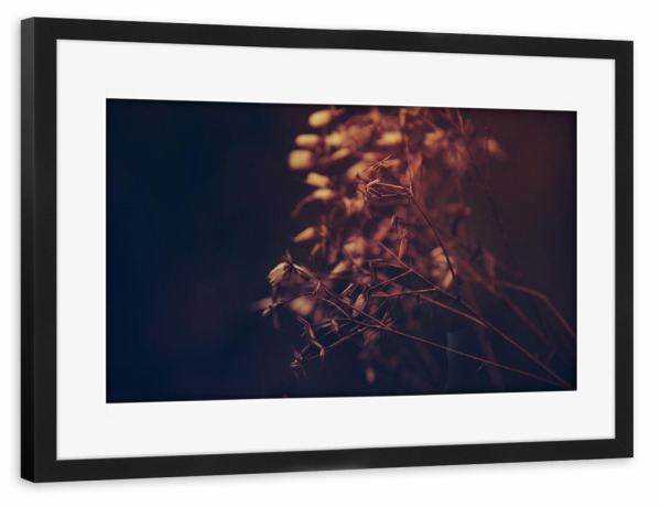 Poster mit Rahmen schwarz "Herbstblüte" artboxONE - Natur,Floral