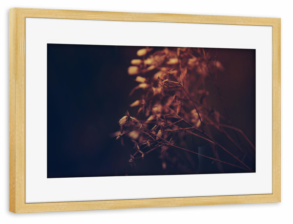 Poster mit Rahmen kiefer "Herbstblüte" artboxONE - Natur,Floral