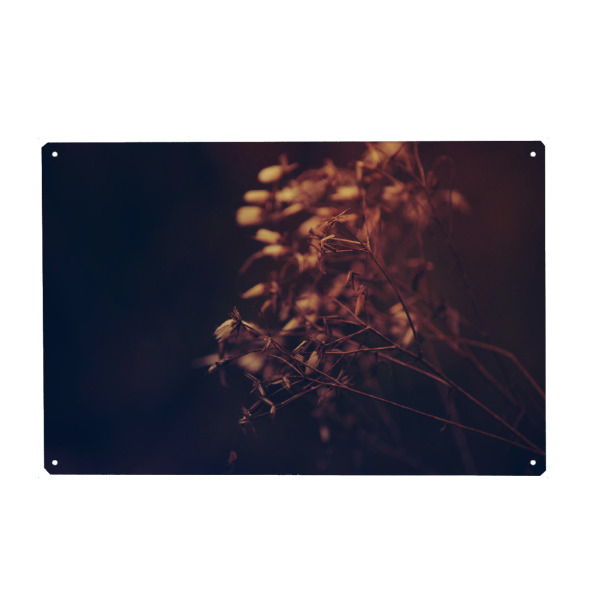 Metall Poster "Herbstblüte" artboxONE - Natur,Floral