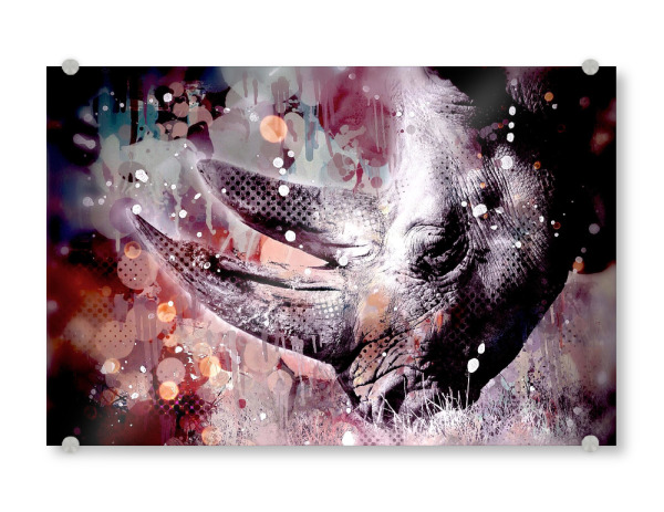 Acrylglasbild "Pop Art Rhino" artboxONE - Tiere - Rhino,Nashorn,Wild animal,Wildtier,Bunt,Pop art,Color,Natur,Wild,Tier,Nature,Abstrakt,Cosmos