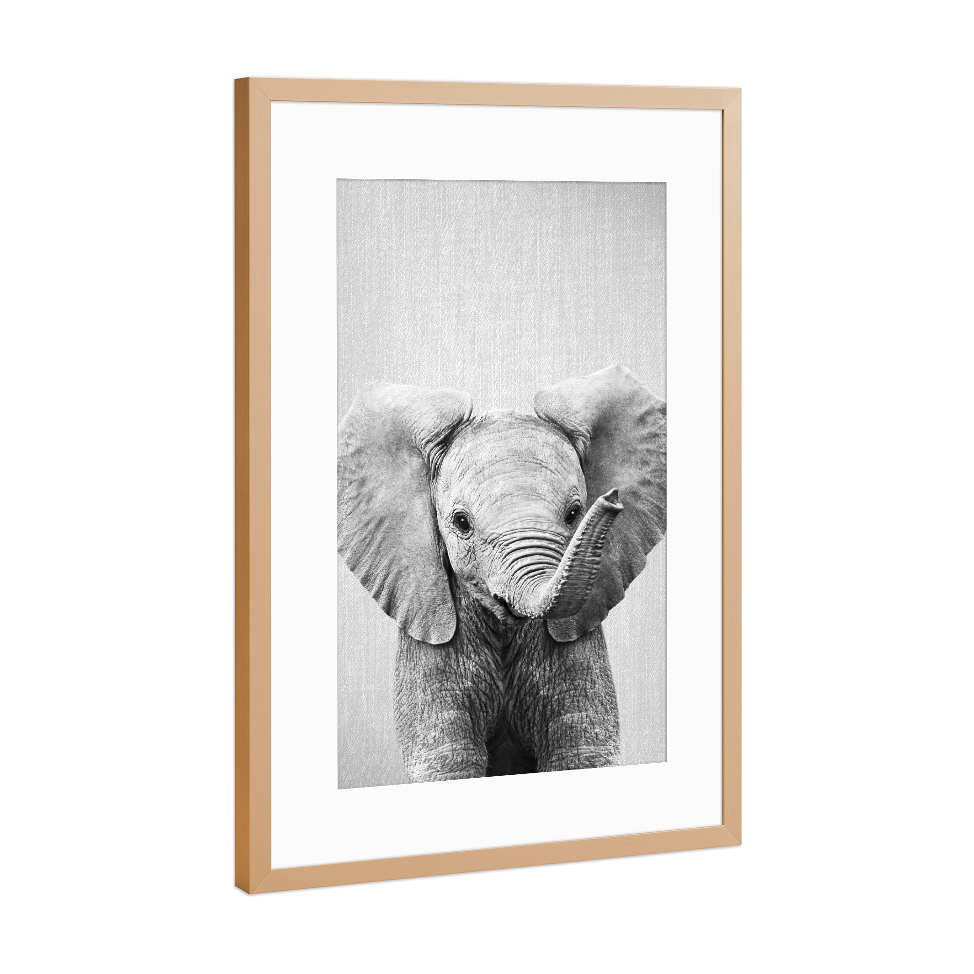 Poster mit Rahmen Kupfer "Baby Elephant - Black & White" artboxONE - Natur,Für Kinder,Tiere,Reise / Afrika,Liebe